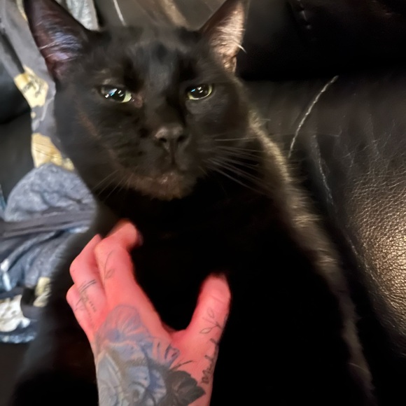 Meet your Posher, Michaela ft. Manny - Picture 10 of 11